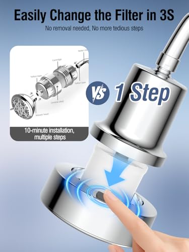 Filtered Shower Head with Filters