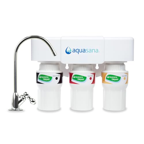 Under Sink Water Filter System