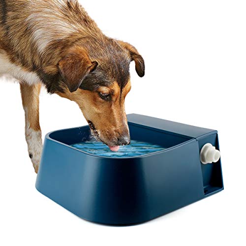 Automatic Water Dispenser for Dogs