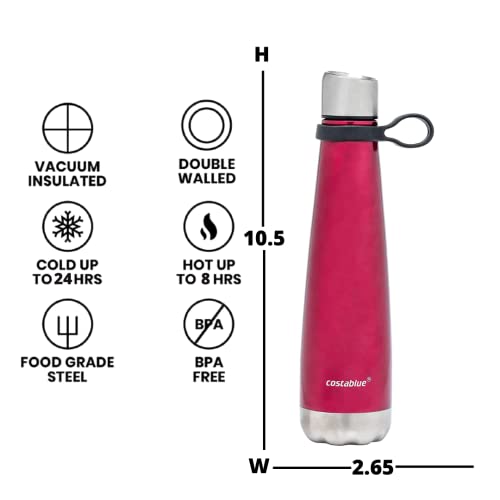 Insulated Water Bottle