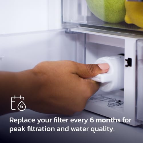 Ice and Water Refrigerator Filter 2