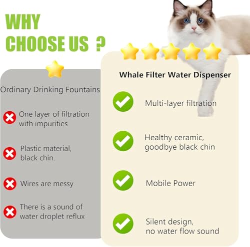 Ceramic Pet Feeding and Drinking Bowls