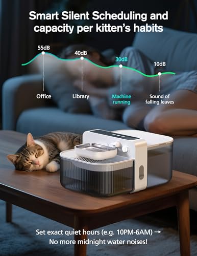 Wireless Cat Water Fountain with No Filters