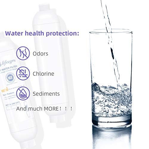 RV Water Filter with Hose Protector (2 Count)