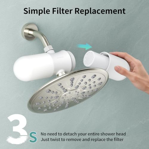 Duo Shower Filter