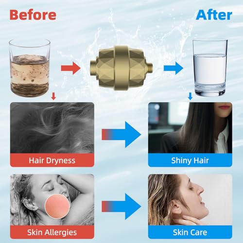 Shower Head Filter