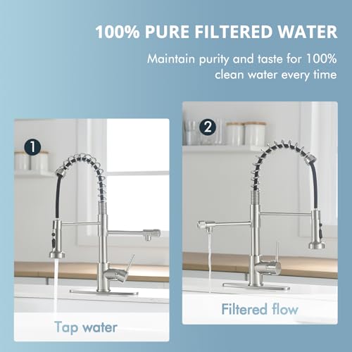 Filter Kitchen Faucet Drinking Water Faucet 3 in 1 Brushed Nickel