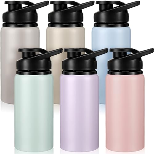 Aluminum Water Bottle Bulk (6 Count)