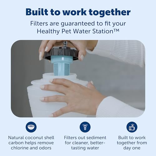 Healthy Pet Water Station with Extra 2