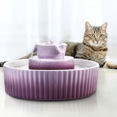 Ceramic Cat Water Fountain