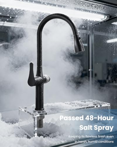 Black Kitchen Faucet with Water Filter