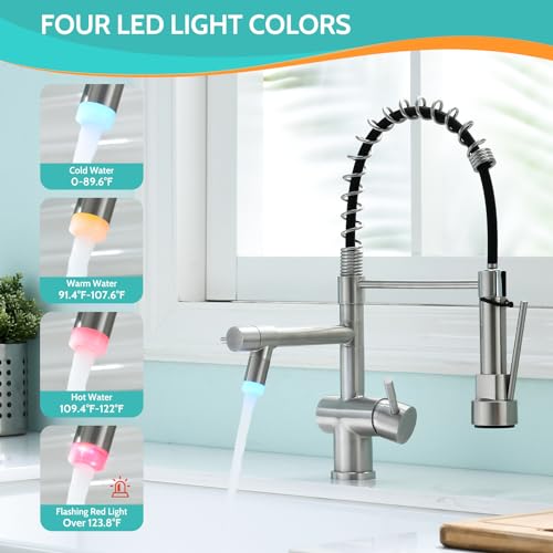 LED Kitchen Faucet with Pull Down Sprayer
