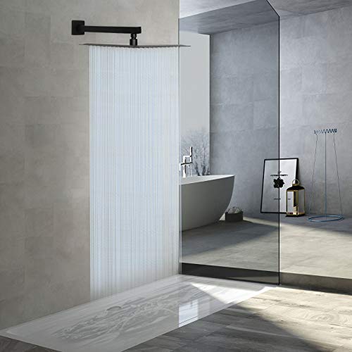 Shower Head with Extension Arm