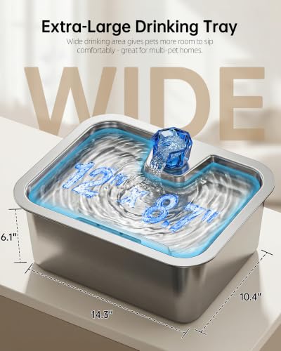 10L Large Dog Water Fountain