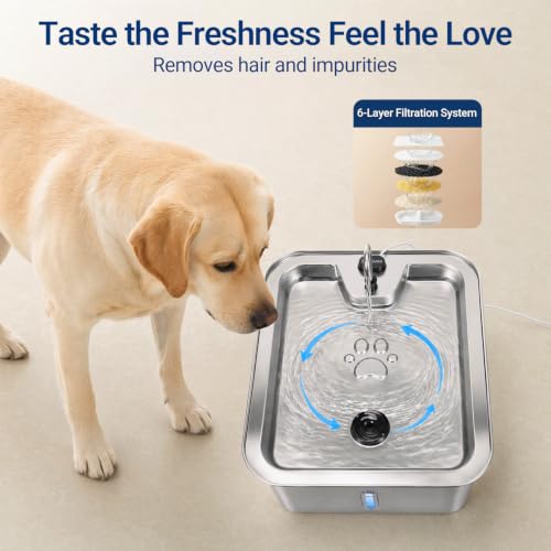4.5Gal 17L Pet Water Fountain
