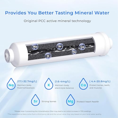 MNR35 2 Remineralization Filters (2 Count)