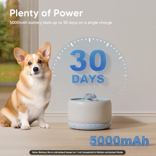 Wireless Cat Water Fountain