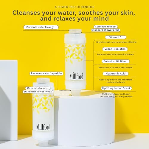 Vitamin C Shower Filter