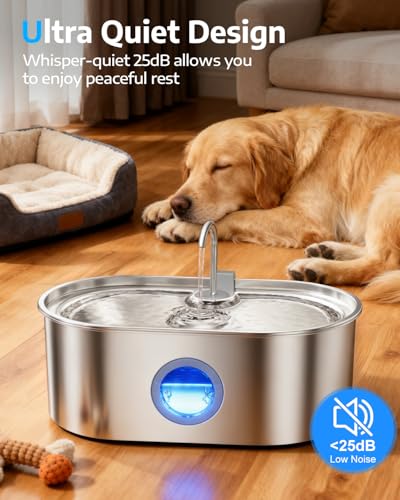 4.2Gal Dog Water Fountain for Large Dogs