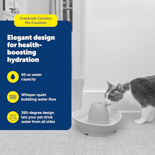 Ceramic Pet Fountain
