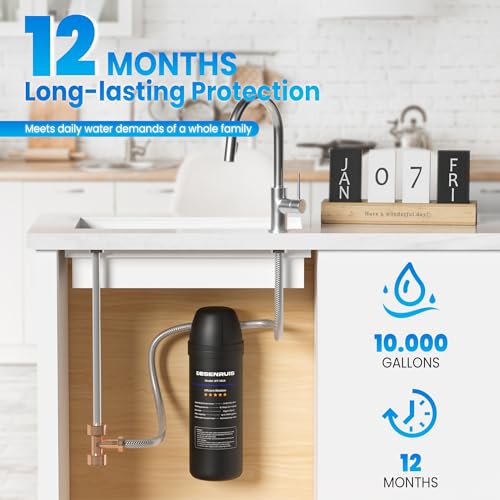 Under Sink Water Filter for Kitchen Sink