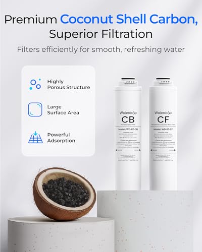RT 2CFCB Filter