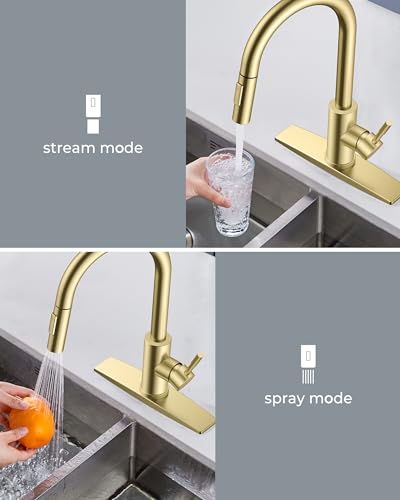 Gold Kitchen Faucet with Soap Dispenser