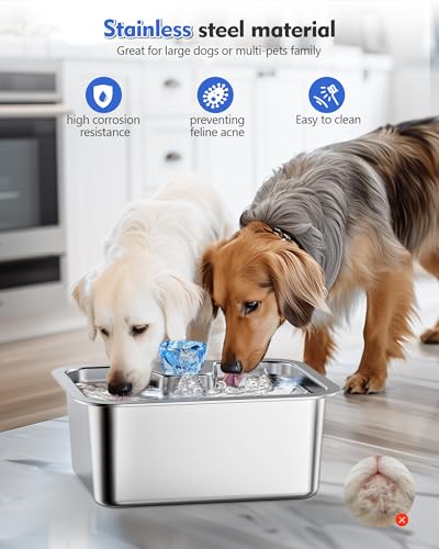 3 Gallon Stainless Steel Dog Water Fountain