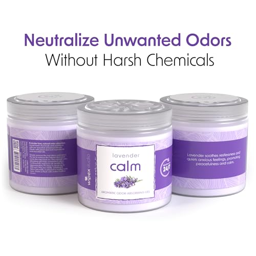 Odor Absorbing Gel Jar (180 Ounce)