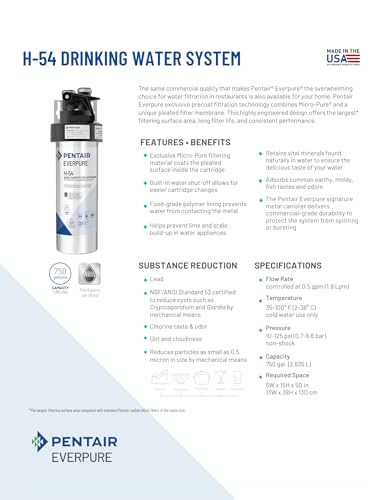 Pentair Everpure H