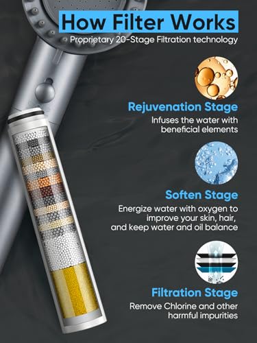 Filtered Shower Head with Handheld