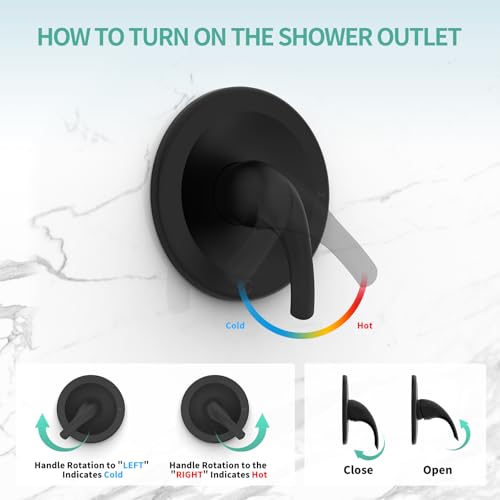 Dual 2 in 1 Shower System with Tub Spout (123.2 Ounce)