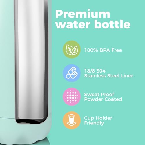 17oz Insulated Stainless Steel Water Bottle