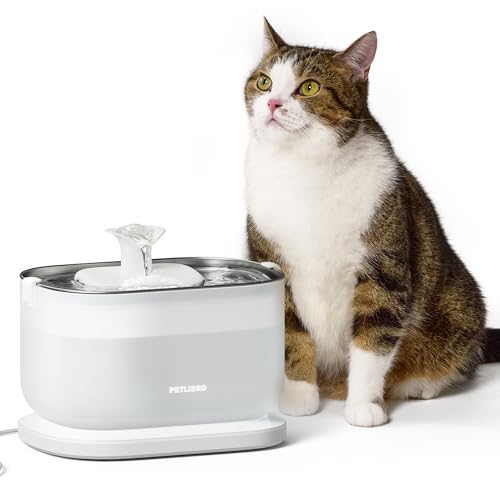 Cat Water Fountain