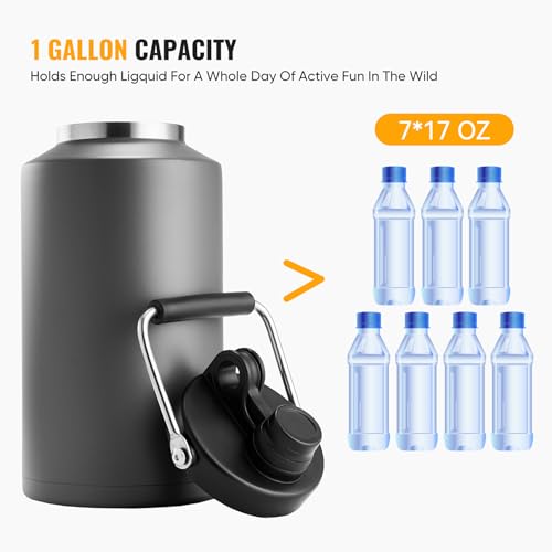 Insulated Gallon Jug with Handle