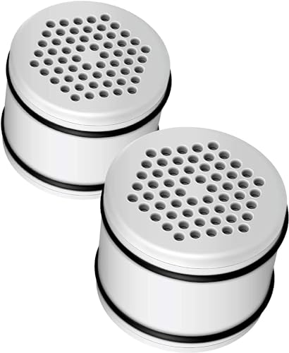 WHR 140 Shower Filter (2 Count)