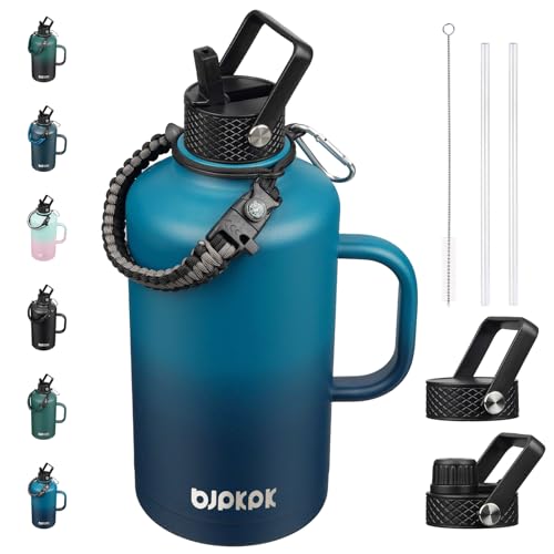 87oz Insulated Water Bottle with Straw Lid Stainless Steel Water Jug
