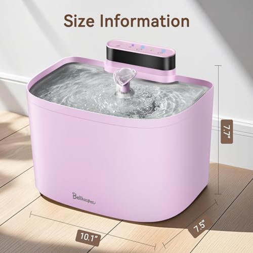 Cat Water Fountain