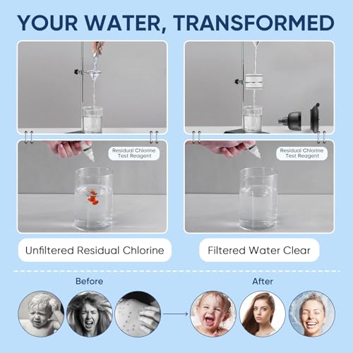 Filtered Shower Head