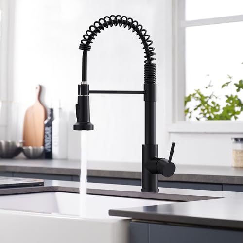 Black Kitchen Faucet with Pull Down Sprayer