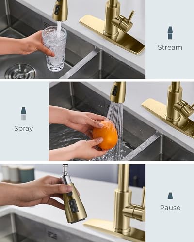 Kitchen Faucet with Pull Down Sprayer