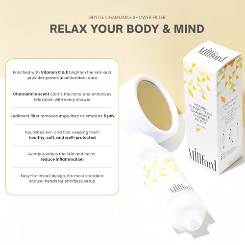 Vitamin C Shower Filter