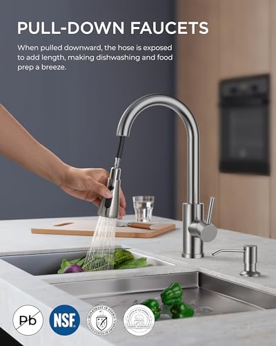 Kitchen Faucet with Soap Dispenser