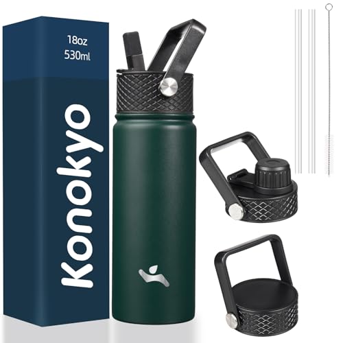 18 oz Insulated Stainless Steel Water Bottle with Straw Lid