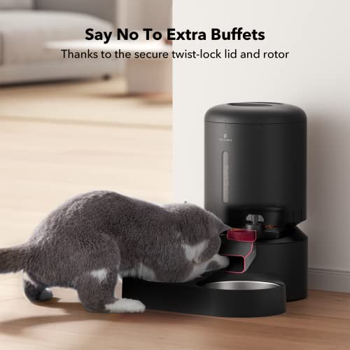 Automatic Cat Feeder