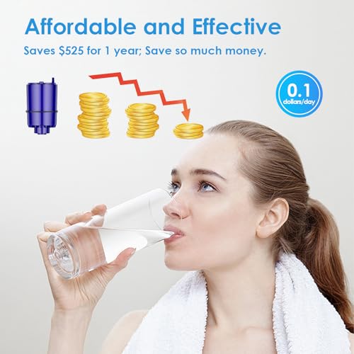 Faucet Water Filter Replacement for All Pur Systems