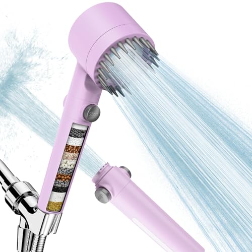Filtered Shower Head with Handheld