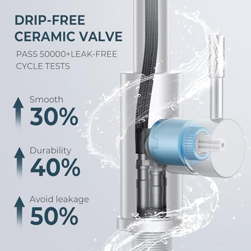 Kitchen Faucet and Water Filter Faucet Combo