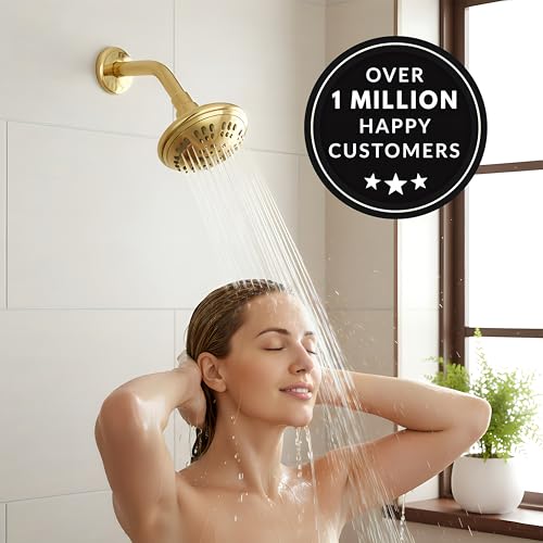 6 Function Luxury Shower Head