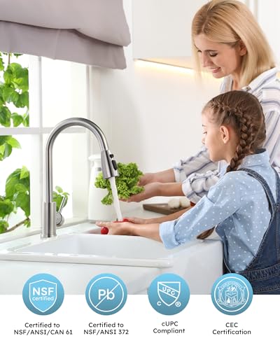 Kitchen Faucet with Sprayer